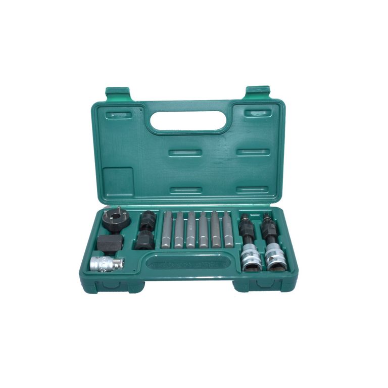 Juego De Dados Maestro Alternador 13 Piezas Ai0100