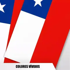 BIGBAMSPACE - X3 Guirnalda Bandera Chilena Banderines Decorativos Chile - Negro