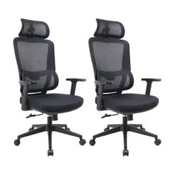 LEVO - 2 Sillas Escritorio Oficina Ergonómica Ergotech