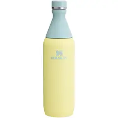 STANLEY - Botella Térmica All Day Slim Pomelo - 591 ml