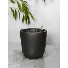 PLANT ME - Chono Negro Autorregante L