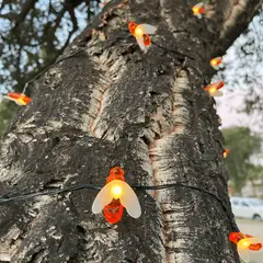 GENERICO - Decorativos Solares Abeja - Luz Multicolor IP65 Luz 5 m