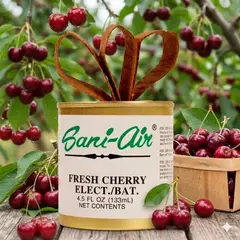 SANI AIR - PACK 3 LATAS FRESH CHERRY