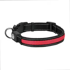 GENERICO - Collar LED ROJO Recargable USB Mascotas 3 Niveles Luz TallaM