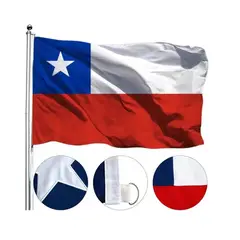 GENERICO - Bandera Chile Chilena Banderas Bordada Reforzada 90 X 60 Cm