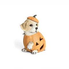 FRANK & MORTIS - Perrito en Calabaza Led