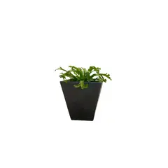 GENERICO - MACETERO FLORIDIS NEGRO EFECTO MARMOL ZURIQUE 34CM ALTO CON PLATO