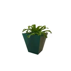 FLORIDIS - MACETERO VERDE EFECTO MARMOL ZURIQUE 34CM ALTO CON PLATO
