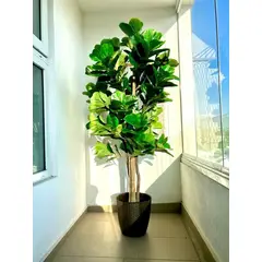 ARBUSTO REAL - Planta Artificial Ficus Lirata 180 cm / 254 hojas Verde