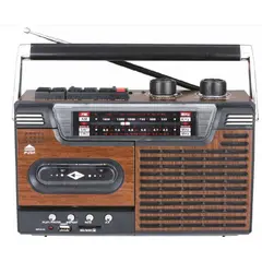 AUDIOPRO - Radio Cassete AudrioPro AP02076