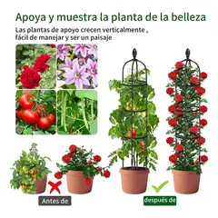 ANYHOGAR - Soporte Tutor Plantas Trepadoras Enredaderas Rosales