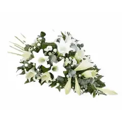 GENERICO - Fúnebre de Lilium