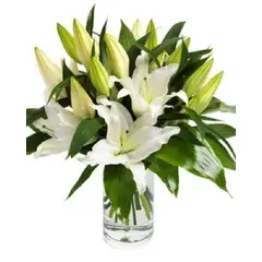 GENERICO - Florero Cilindro de Lilium