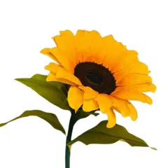 GENERICO - 1 Girasol