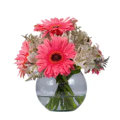 GENERICO - Pecera de Gerberas y Astromelias