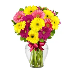 GENERICO - Florero de 20 Gerberas