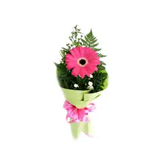 GENERICO - Gerbera Individual