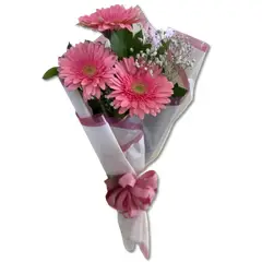 GENERICO - Ramo Alargado de 3 Gerberas Rosadas
