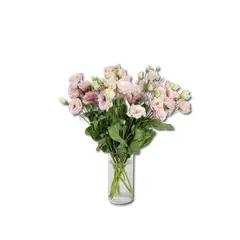 GENERICO - Florero Cilindro de 10 Lisianthus