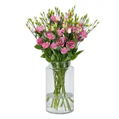 GENERICO - Florero Cilindro de 10 Lisianthus Rosado