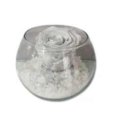 GENERICO - Rosa Preservada Blanca en Pecera