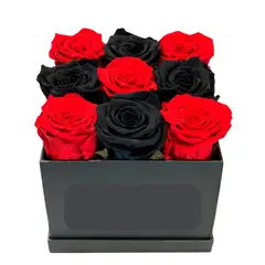 GENERICO - Box Cuadrado de 9 Rosas Negras y Rojas Eternas de Jabón