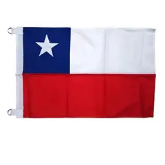 GENERICO - Bandera Chile Chilena Banderas Bordada Reforzada 120 X 80 Cm