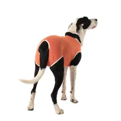 KIMBAVET - Body Cobre Kimba Castración Macho - Talla 4 (6 - 7,5 Kg)