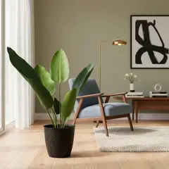 ARBUSTO REAL - Planta artificial Bird of Paradise alto120 cms