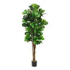 ARBUSTO REAL - Planta Artificial Ficus Lirata 180 cm 254 hojas Verde