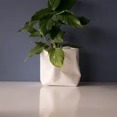 PROMETEO STUDIO - Portamacetas para interiores impermeable Diseño local Talla M