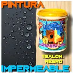 WETPROOF - PINTURA IMPERMEABILIZANTE MADERA EXTERIOR NEGRO AL AGUA WETCO® 1 GALON