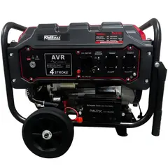 ALTERNATIVE - Generador 3800w - Control Remoto - Prof