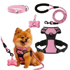 YEP S - Set Arnes Correa Collar porta gps + Regalo - Rosa - S