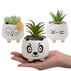 GENERICO - 3 Pza Maceteros Para Suculentas De Ceramica Diseños Animales