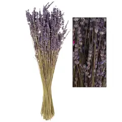 GENERICO - Flores Secas Ramo De Lavanda Natural Con Aroma