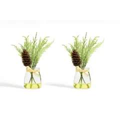 HERRERA MAISON - Set X2 Planta L19271-2 en Canister Vidrio