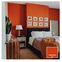 BAUM - TINETA PINTURA ESMALTE AL AGUA - TERRACOTA 5-T - PINTURASPROFESIONALES CHILE