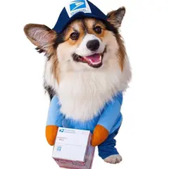 GIOIO - Disfraz Mascota Perro Gato Razas Medianas Grandes L