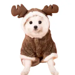 GIOIO - Conjunto Navidad Halloween Mascota Invierno Año Nuevo XL