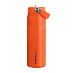 STANLEY - Botella Térmica Flip Straw 20 Aerolight Tigerlily Plum - 710 ml