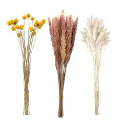 GENERICO - Flores Secas Naturales Boho Set 3 Ramos