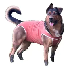 KIMBA - Body Cobre Original Para Perros Y Gatos De 25 Kg A 30 Kg