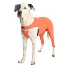 KIMBA - Body Cobre Posterior Post-operatorio T5 (7.5 A 10 Kg)