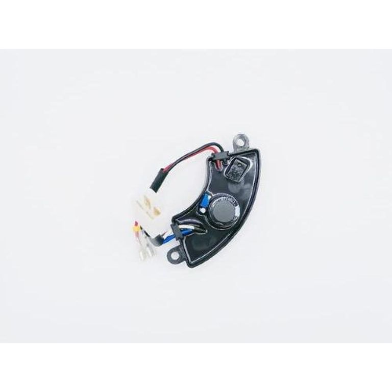 Avr Generador 250v 220uf Compatible Con Bauker-hasta 35kw