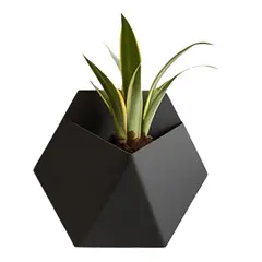 GENERICO - Macetero De Pared - Minimalista Negro