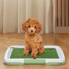 LINE - Baño Ecológico Reutilizable Perros Adiestramiento Mascotas