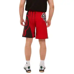 GENERICO - SHORT HAYABUSA RECAST S