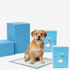 GENERICO - 100 Pañales Sabanillas Entrenamiento Absorbentes Mascota Perros y Gatos 60x45 cm