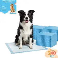 GENERICO - 240 Pañales Sabanillas Entrenamiento Absorbentes Mascota Perros y Gatos 60x60 cm